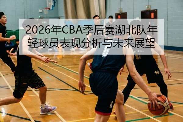 2026年CBA季后赛湖北队年轻球员表现分析与未来展望