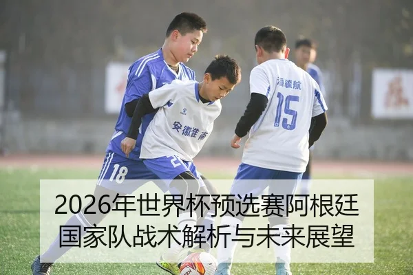 2026年世界杯预选赛阿根廷国家队战术解析与未来展望