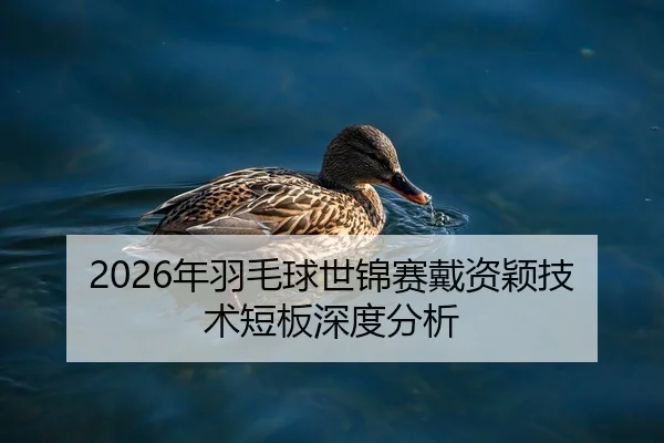 2026年羽毛球世锦赛戴资颖技术短板深度分析